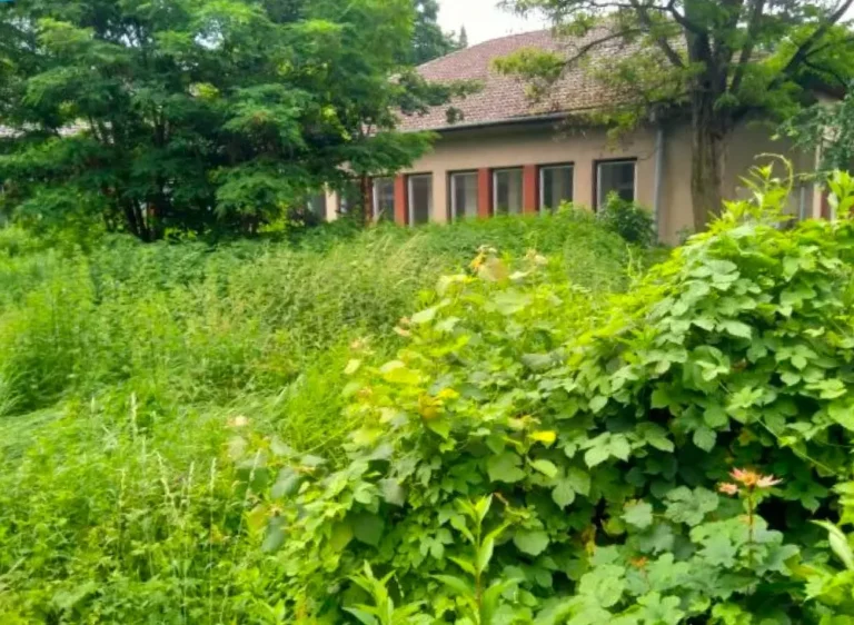 Zprávy Rezidence Školka Břeclav | Areál bývalé MŠ před zahájením demolice